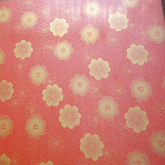 Ral 2169 Z60 90ga a pré peint la feuille enduite de couleur de Gi de tôle d'acier 4